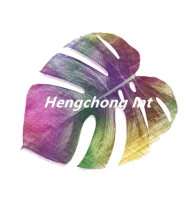 Shanghai Hengchong Int